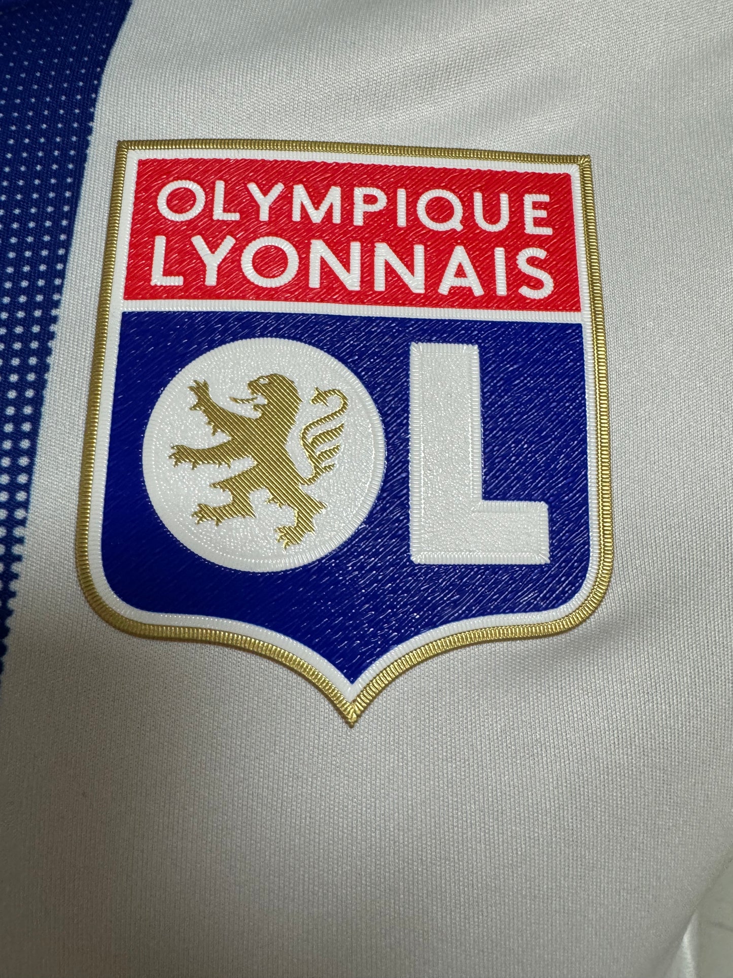 Olympique Lyonnais home ground