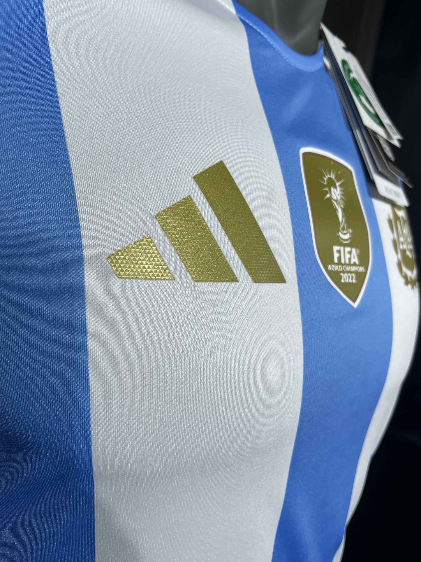 Argentina's home ground