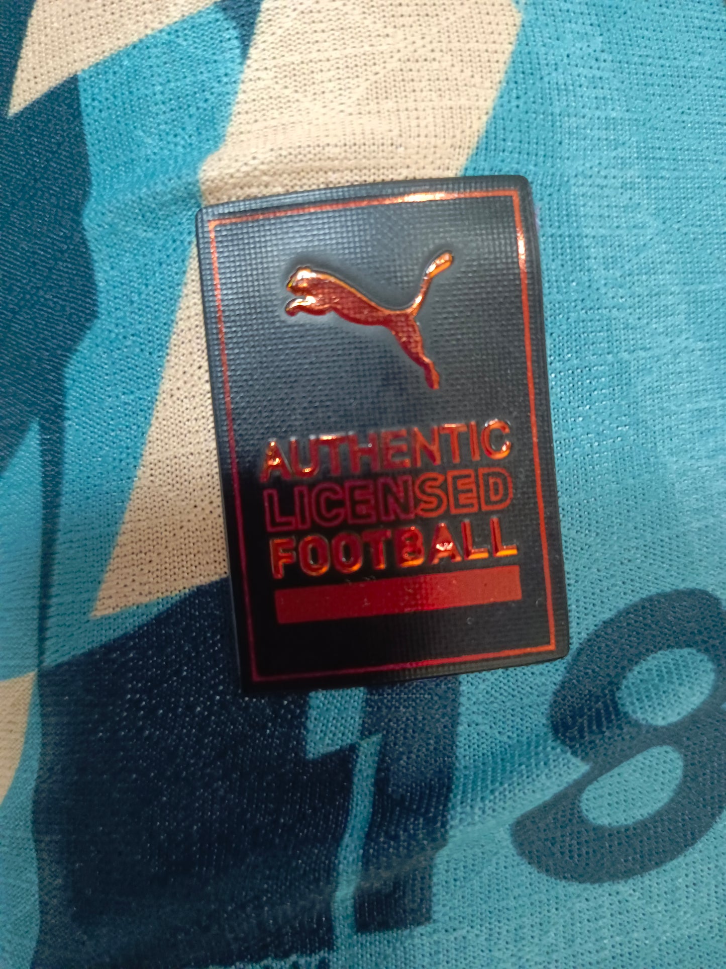 24-25 Manchester City Special Edition