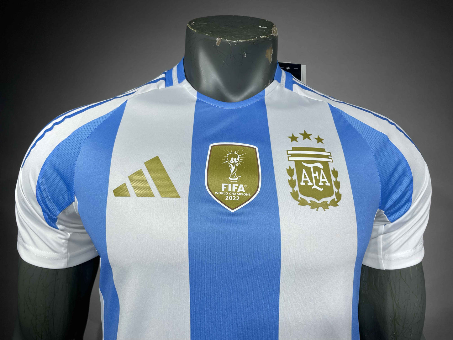 Argentina's home ground