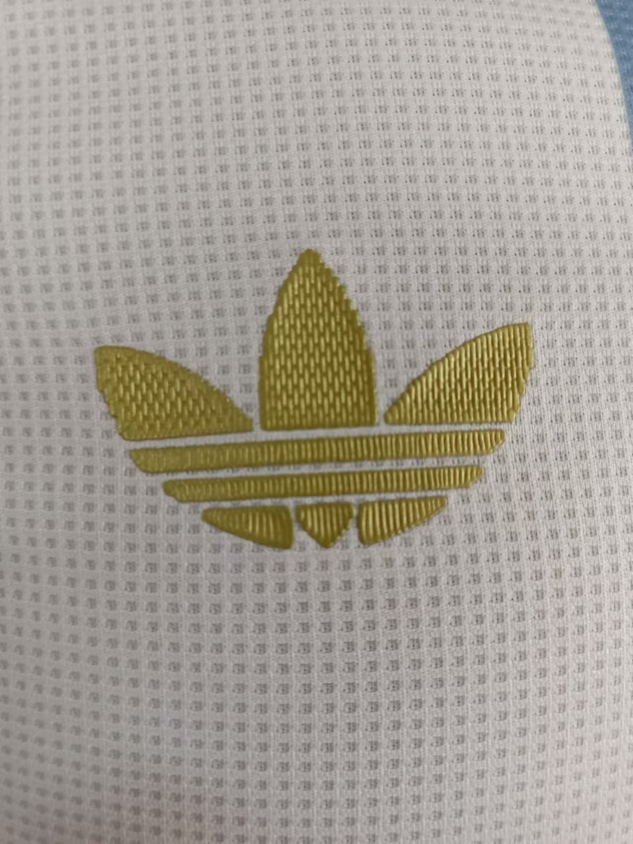 50th Anniversary Edition of Argentina