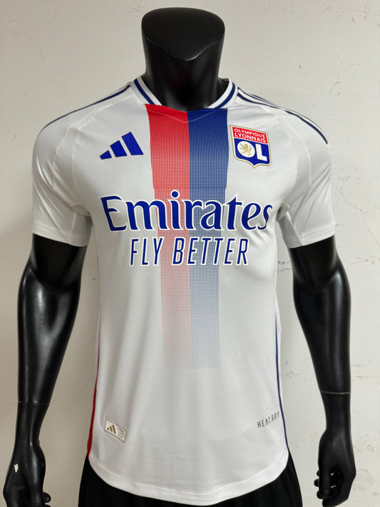 Olympique Lyonnais home ground